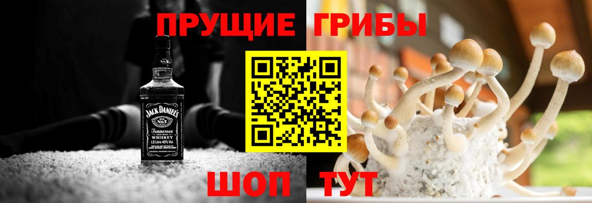 Галлюциногенные грибы ЛСД  Псилоцибиновые грибы MAGIC MUSHROOMS  Вход с VPN  Татарск 